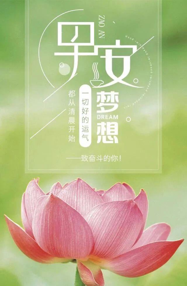 「2022.11.19」早安心语，正能量暖心语录句子 清晨激励人心的图片