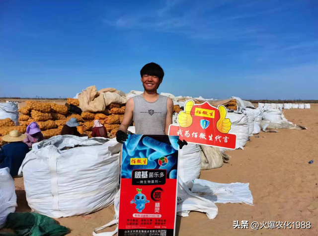 底肥选好 全年无忧 施底肥新方案！一底顶十追！是有机肥的数倍以上