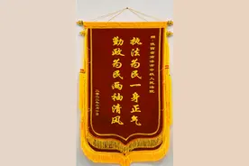 商洛中院丨千里之外获称颂图片