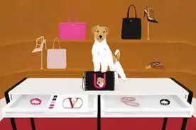 一张床7w！一根遛狗绳5k！宠物奢侈品也太疯狂了吧图片