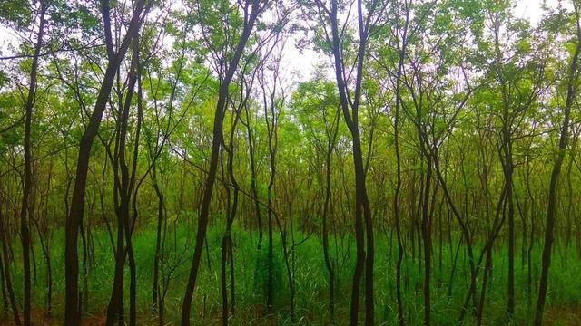 男人的髮型 形象穿搭 第1張-戀愛小秘書-娜米 男人的髮型 形象穿搭 第1張