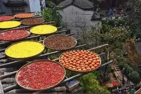 我想当农民，当个幸福的农民图片