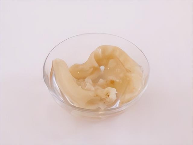 花胶螺头有什么功效与作用 花胶螺头有什么功效与作用图片 花胶螺头有什么功效与作用 花胶螺头有什么功效与作用图片