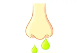 用食疗方法助您解决流清水鼻涕的烦恼，实现一招止涕图片