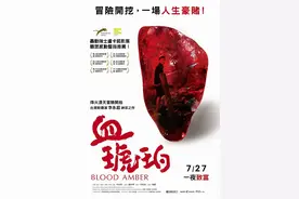 作为「琥珀中的贵族」，它为什么这么贵？|松岗琥珀图片