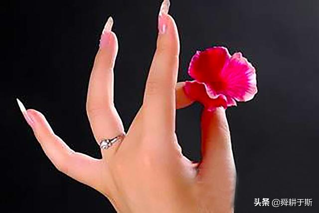 ����������������ƣ�Ҳ������ָ���ʮ��������