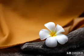 混到50岁才醒悟，“熬”下去，是老天给予世人最大的意义图片