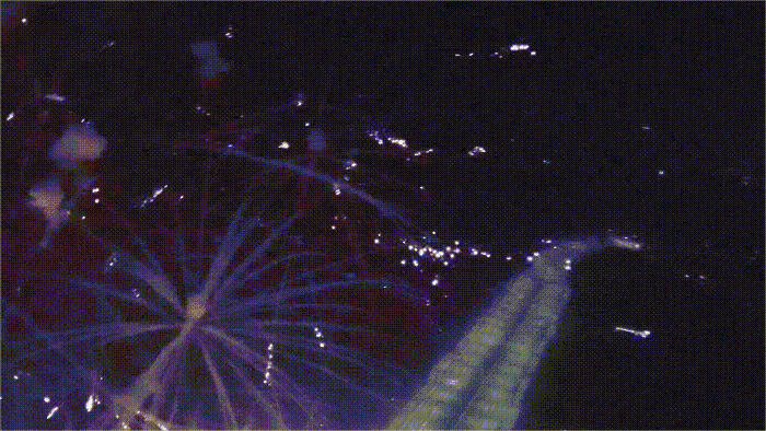 约起！就在今晚！西安发布全平台直播→