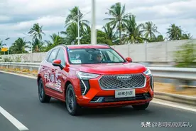 初恋大狗芭蕾猫？长城汽车起名为什么越来越奇葩？图片