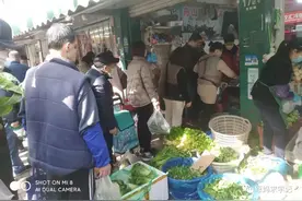上海人的日常生活图片