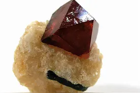 锆石的秘密：恐龙化石经历了啥，我都知道图片