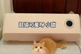 除湿不降温，科龙睡眠空调为养宠一族带来独特体验图片