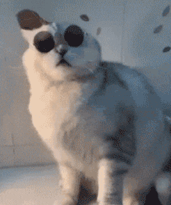 Ϊʲô��Ҷ�׷����ʿ�������Ǹ�������ӹ���