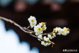 一个人，越是虚伪，越喜欢说以下3句话图片