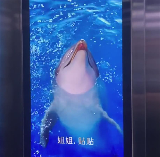 2022年度营销案例黑榜Top30