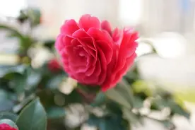 女人，人生路上有三难，熬过去，日子会越过越好图片