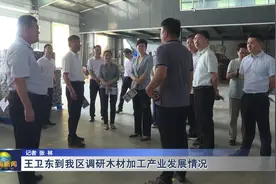 王卫东到定陶区调研木材加工产业发展情况图片