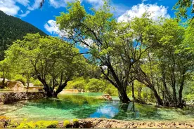 景区名太没诗意，景色却美到跻身世界自然遗产，莫小瞧了黄龙图片