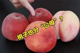 买桃子，选“公”还是“母”？教你1个小诀窍，桃子汁甜又好吃图片
