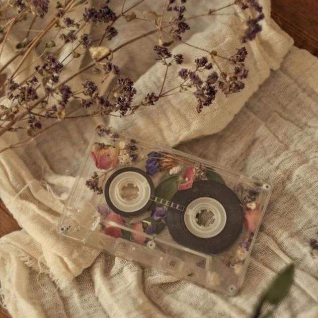 İ̻װȦ