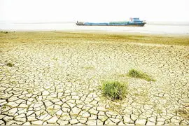 开发与破坏：宋代江南地区围湖造田与当前生态保护有何关联？图片