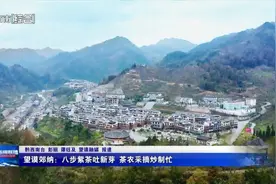 望谟郊纳：八步紫茶吐新芽 茶农采摘炒制忙图片