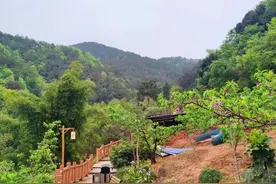 成都龙泉驿紫霞山，春天徒步大环线，满山的果树真是太美了图片