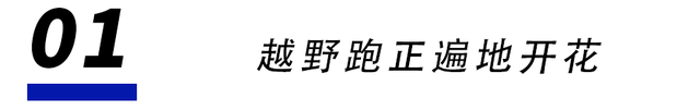 上山找虐的中产，一个月抢光50场越野跑门票