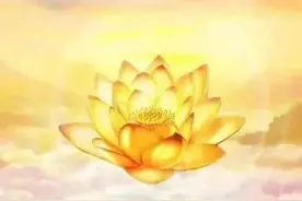 混沌青莲子一分为五图片