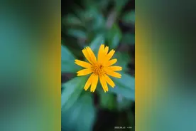 感觉只有这个时候，时间才是属于自己的图片