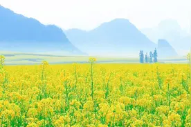 《论语》：已成之事，无需留恋图片