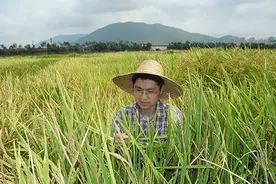 科技强农｜“一粒种子可以改变一个世界”图片