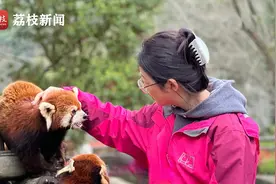 95后设计师裸辞后到动物园当饲养员，当事人：上班后非常开心，环境和小动物都很治愈图片