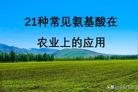 21种农业用氨基酸，你都了解吗？图片