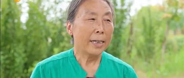 走近东方一林公益互助养老团