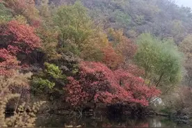 每个人都是独一无二的个体图片