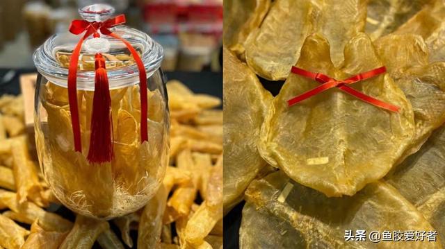 蜘蛛花胶怎分公母 2026年花胶 蜘蛛胶