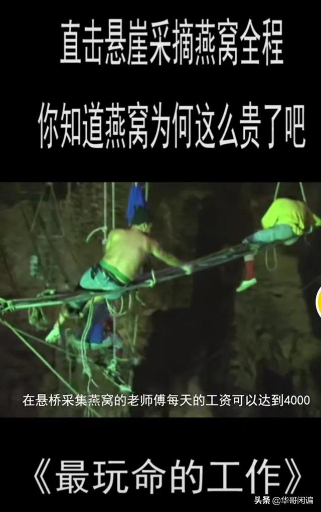 燕窝女人吃有什么好处和坏处 燕窝女人吃的好处