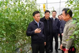 蒋连生到藤县和龙圩区调研工业运行产业发展项目建设及农业发展乡村振兴等工作图片