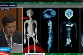 墨西哥公开外星人尸体! 身体内还有三个蛋：不属于地球进化过程图片