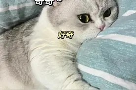 套路男朋友表情包图片