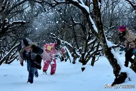 寒冬腊月到，中老年人家中要常备4宝，暖身抗寒，舒适安稳迎春来图片