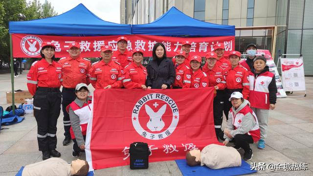 可爱的兔子救援攻略（兔子救援普及急救知识 助力世界红十字日）