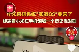 小米雷军的话里有话，他是否知道华为鸿蒙系统存在安全风险？图片