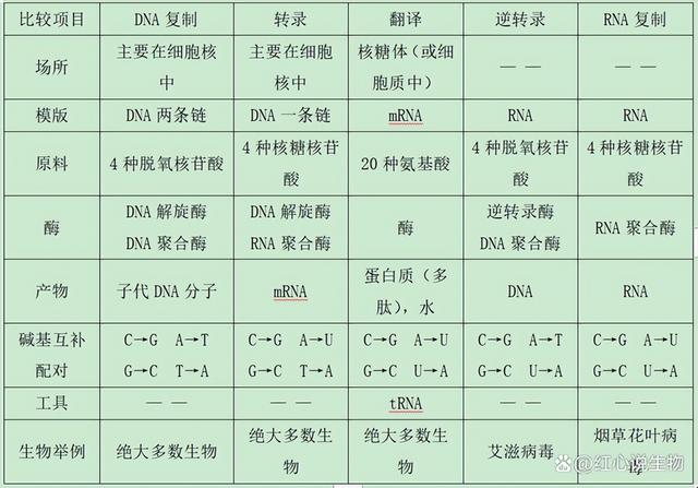 高中生物-基因的本质与表达