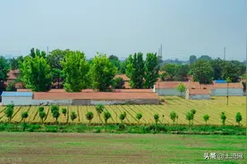 山东2022年实际种粮农民一次性补贴标准多少？补贴对象是谁？图片