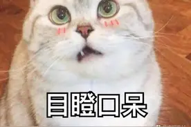 看完“315晚会”，我晒干了沉默……图片