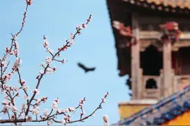 雨伞叫撑花儿，丢星是下小雨……藏在方言里的诗意，惊艳了！图片
