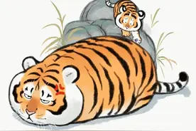 他靠画养膘老虎，引130万粉丝围观，笔下500斤的胖虎“萌”翻众人图片