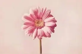 要结婚了，男友送我别墅，赠我公司,是你你要吗？（版本一）图片